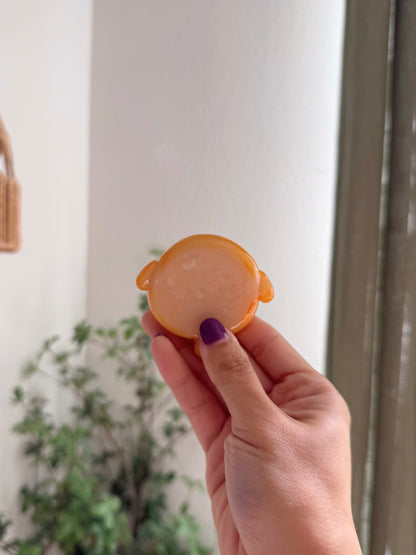 Persimmon 2.0 | Worry Stone | Puffer Fish | Flower