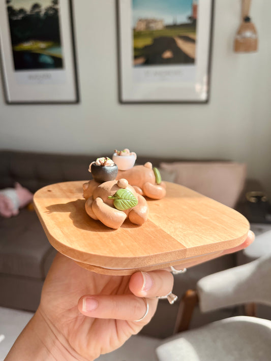 Soba Bear