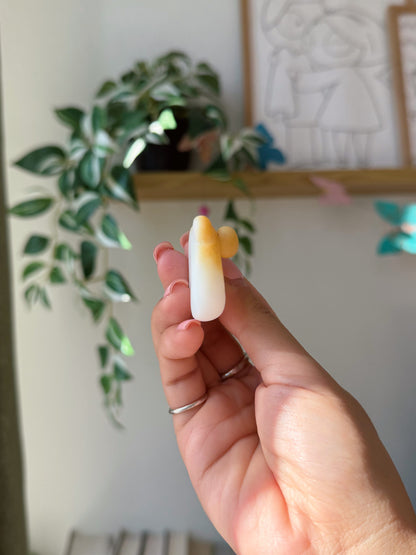 Corgi Butt Spinner | Fidget