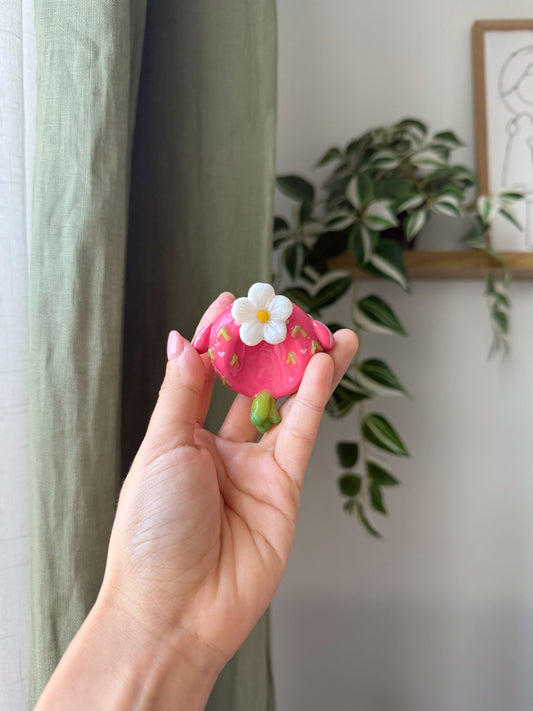 Available Now: Dragonfruit | Worry Stone | Spinner Fidget